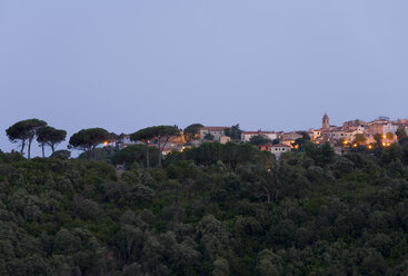 Italy, Elba, San Piero, woodland - WDF00012