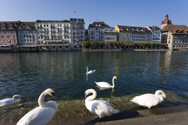 Schweiz, Luzern, Stadtbild - WD00051