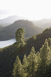 Spanien, Kanarische Inseln, Gran Canaria, - FFF00894