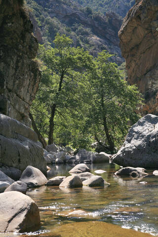 Frankreich, Korsika, Fluss, lizenzfreies Stockfoto