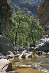 France, Corsica, River - RDF00368