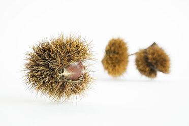 Chestnuts, elevated view - GWF00640