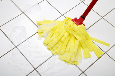 Cleaning mop, close up - TCF00684