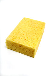 Sponge, close up - TCF00659