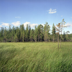 Finnland, Hossa-Nationalpark - PM00558