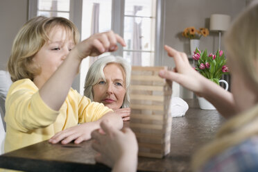 Großmutter und Enkelkinder (8-9) spielen zusammen - WESTF08258