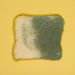 Geformtes Brot, Ansicht von oben - MUF00434