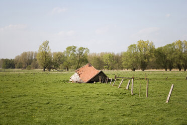 Deutschland, Zerstörtes Haus, Wiese - HKF00235