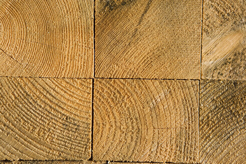 Soft wood, close-up - HKF00217