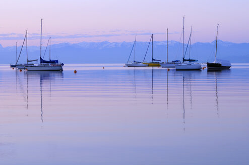 Germany, Immenstaad, Lake Constance - SMF00319