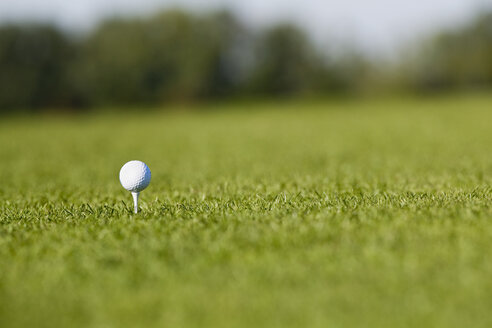 Deutschland, Bayern, München, Golfball auf Golfplatz, Nahaufnahme - RRF00166