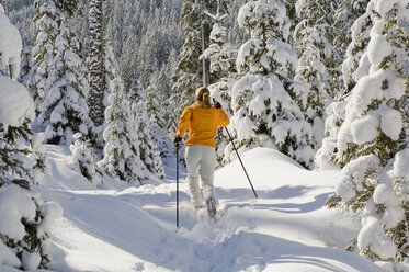 Österreich, Salzburger Land, Altenmarkt-Zauchensee, Junge Frau beim Skilanglauf, Rückansicht - HH02520