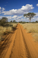 Afrika, Botswana,Track durch die Kalahari-Wüste - FOF00755