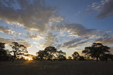 Afrika, Botswana, Sonnenuntergang über Savanne - FOF00745