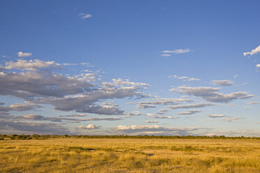 Afrika, Lesholoago Pan, Botswana, Landschaft - FOF00742