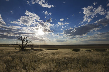 Afrika, Botswana, Landschaft - FOF00739