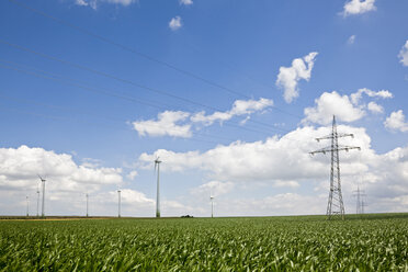 Germany, Saxony-Anhalt, Field of wind turbines and electricity pylons - FOF00776