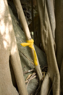 Thailand, Nakhon Ratchasima, sacrificial altar - GAF00046