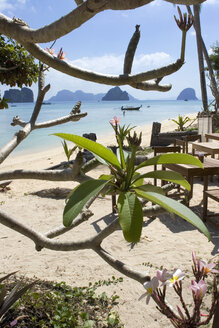 Thailand, Ko Hai Island, Beach - GAF00041