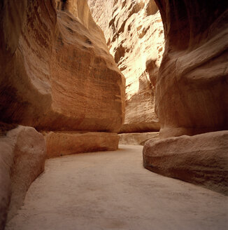 Jordan, Wadi Rum, Tree in the desert, elevated view - GA00075