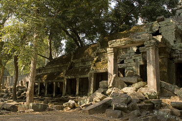 Kambodscha, Angkor, Siem Reap, Ta-Prohm-Tempel - GA00065
