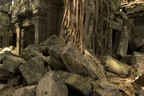 Kambodscha, Angkor, Siem Reap, Ta-Prohm-Tempel, Ruinen - GA00064