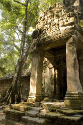 Kambodscha, Angkor, Preah-Khan-Tempel, Ruinen - GA00063