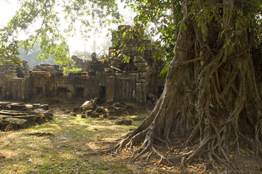 Kambodscha, Siem Reap, Preah-Khan-Tempel, Ruinen - GA00062