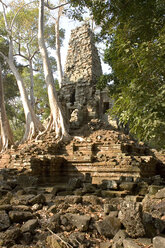 Kambodscha, Angkor, Siem Reap, Preah Palilay-Tempel - GA00059