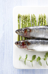 Sardines on platter with asparagus and herbs, elevated view - KSWF00162