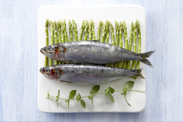 Sardines on platter with asparagus and herbs, elevated view - KSWF00148