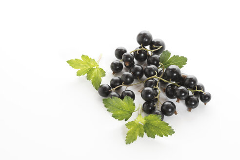 Schwarze Johannisbeeren mit Blättern, Ansicht von oben - 08691CS-U