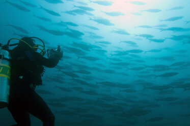 Galapagos-Inseln, Ecuador, Taucher beim Fotografieren eines Fischschwarms - GNF01014