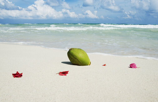 Mexiko, Yucatan, Petals on the beach - GNF00993
