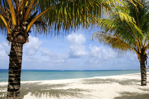 Mexiko, Cozumel, Beach - GNF00978