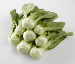 Bok choy, chinesischer Selleriekohl - KSWF00168