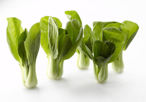 Bok choy, chinesischer Selleriekohl, lizenzfreies Stockfoto