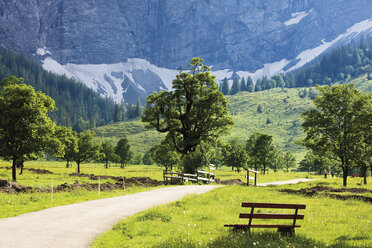 Österreich, Tirol, Landschaft und Bank - 08852CS-U