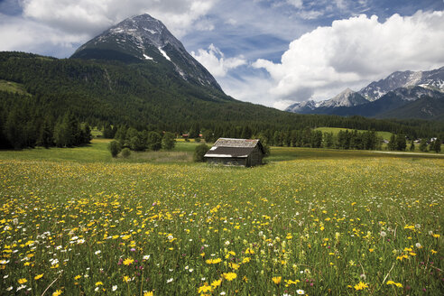 Österreich, Tirol, Leutaschtal, Landschaft und Berge Hohe Munde im Hintergrund - 08836CS-U