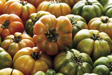 Oxheart Tomatoes, close-up, full frame - 08720CS-U