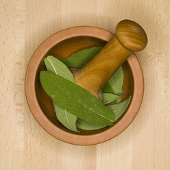 Mortar and pestle with sage leaves, elevated view - MUF00538
