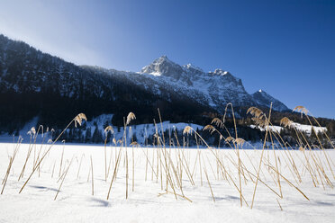 Deutschland, Bayern, Ferchensee, Winterlandschaft - FOF00788