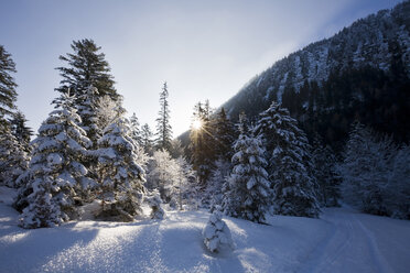 Germany, Bavaria, Winter scenery - FOF00787