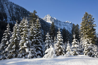 Germany, Bavaria, Winter scenery in the background Wetterstein mountains - FOF00786