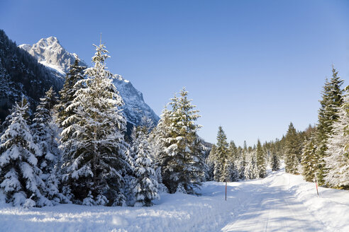 Deutschland, Bayern, Winterlandschaft im Hintergrund Wettersteingebirge - FOF00785