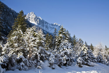 Deutschland, Bayern, Winterlandschaft im Hintergrund Wettersteingebirge - FOF00784