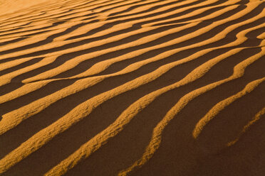 Africa, Namibia, Sand dunes, Namib desert, full frame - FOF00833