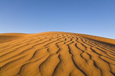 Afrika, Namibia, Namib-Wüste, Sanddünen - FOF00832