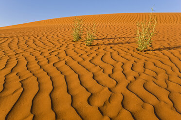 Africa, Namibia, Sand dunes, Namib Desert - FOF00824