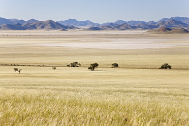 Africa, Namibia, Namib Desert, Tiras Mountains, grassland - FOF00822